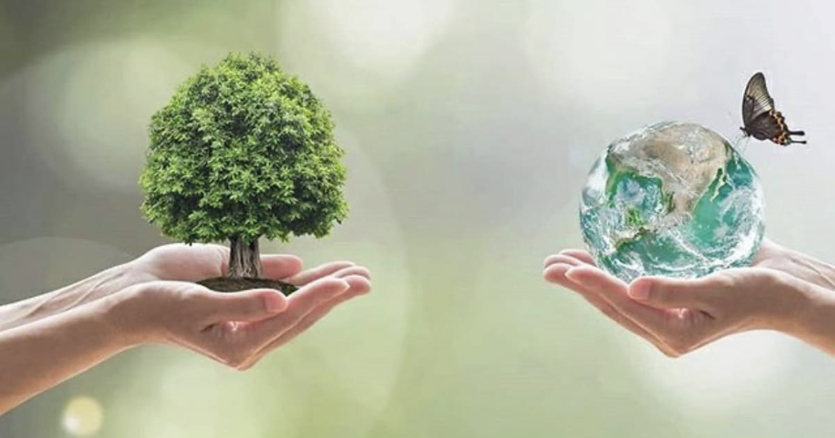 Tempo de recordar e implementar o laudato si’- no seu 5º aniversário